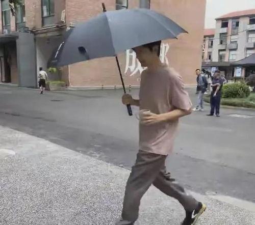 黑伞人,探寻阴影下的光明之旅