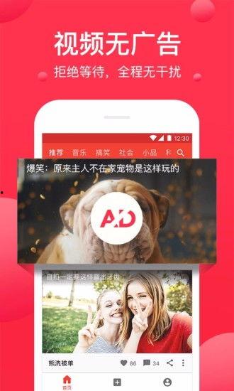 西瓜视频免费安装,轻松畅享海量视频内容